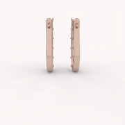 Lucent Earrings
