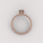 The Prong 0.5Ct Solitaire Essential Ring