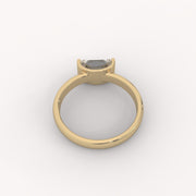 The Prism Ring